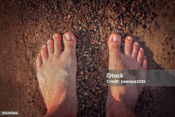 Mans Feet On The Seashore Stock Photo - Download Image Now - Adult, Barefoot, Beach