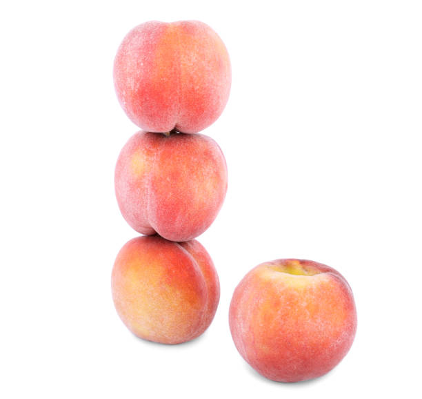 świeże czerwone brzoskwinie, delikatne owoce dla zdrowej letniej diety pełnej witamin wyizolowanych na białym tle . - nectarine fruit full length cross section zdjęcia i obrazy z banku zdjęć