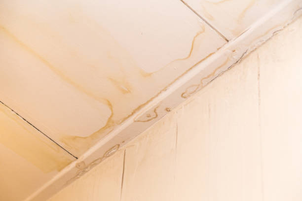 istock Roof leakages results ugly water mark on ceiling 856177640