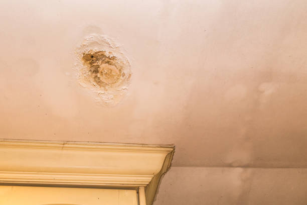 istock Roof leakages results damage ugly corrosion on plaster ceiling 856177678