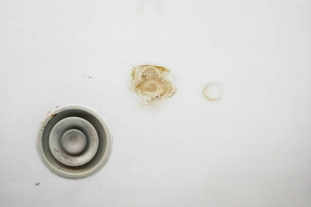 istock Unhygienic and ugly moldy plaster ceiling due to leakage dampness 856177696
