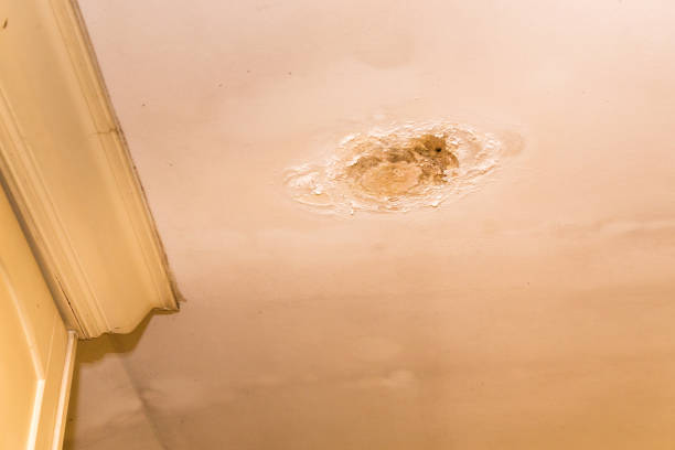 istock Roof leakages results damage ugly corrosion on plaster ceiling 856177778