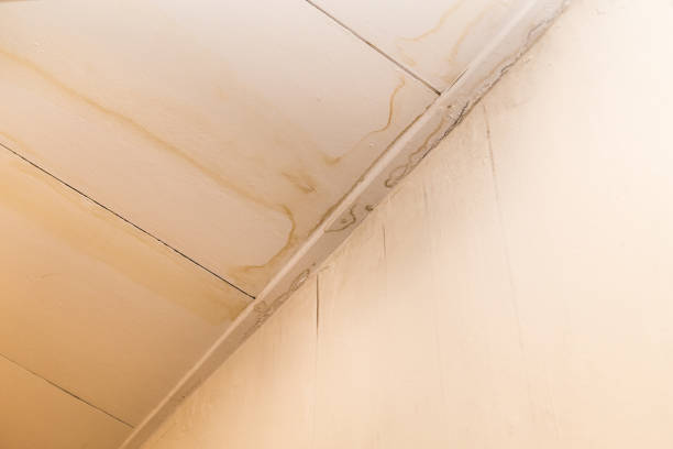 istock Roof leakages results ugly water mark on ceiling 856177814