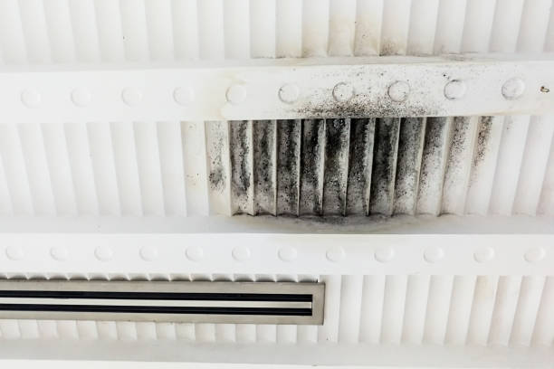 istock Unhygienic and ugly moldy plaster ceiling due to leakage dampness 856178746