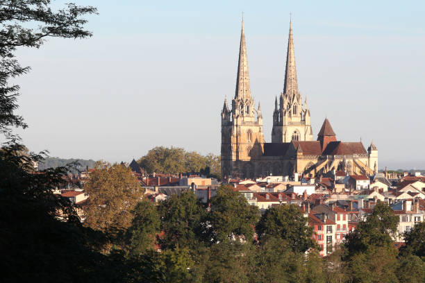 istock cathedral of bayonne 856184348