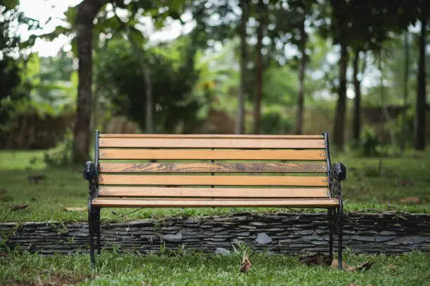 Photo of Bench in the park on green background