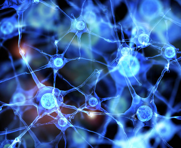 connettore nodo e nodo nelle reti cerebrali. - human nervous system synapse brain cell foto e immagini stock