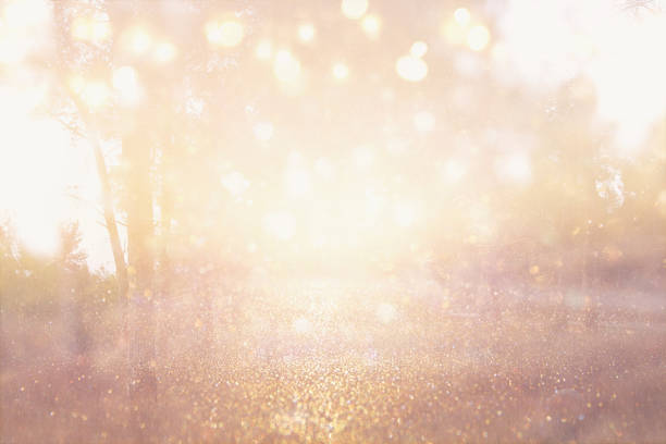istock abstract photo of light burst among trees and glitter bokeh lights. image is blurred and filtered 856196846