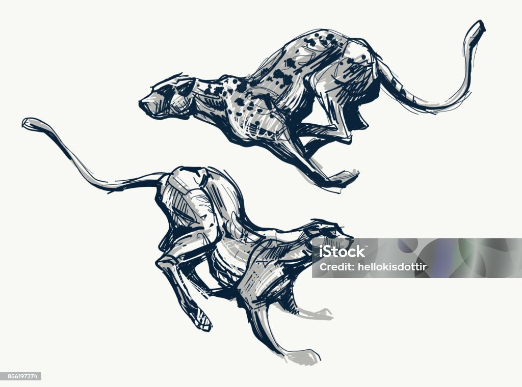 Running cheetah fast ink sketch Running cheetah fast ink sketch, vector illustration. Wild cat, leopard, panther, jaguar speedpainting. Leopard stock vector