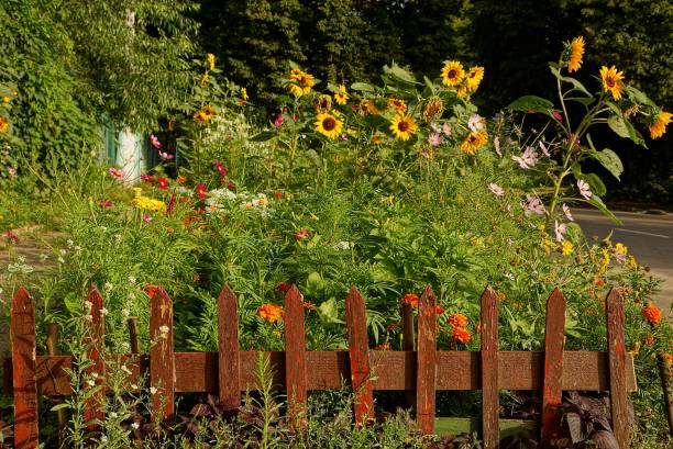 istock Small decorative brown fence in front of a flower bed 856203268