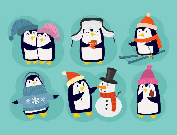 pinguin weihnachten vektor illustration charakter cartoon lustig süß tiere der antarktis polar schnabel pol winter vogel - antarctica penguin bird animal stock-grafiken, -clipart, -cartoons und -symbole