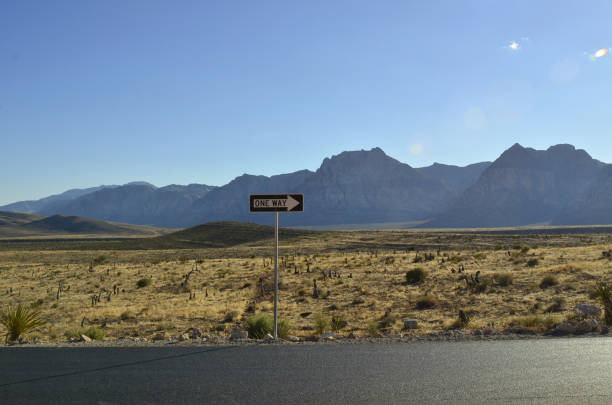 istock one Way sign in Mojave Desert landscape 856208074