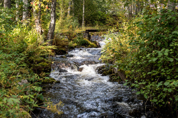 istock Norway close to Oslo, little river in the forest 856215788