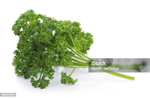 Parsley Isolated On A White Background Stock Photo - Download Image Now - Parsley, White Background, Branch - Plant Part