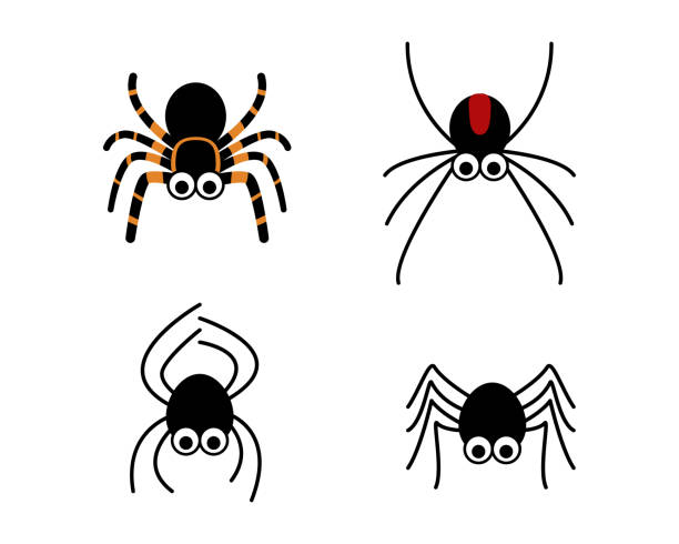 eine gruppe von niedliche spinne im einfachen stil, vektor - spider stock-grafiken, -clipart, -cartoons und -symbole