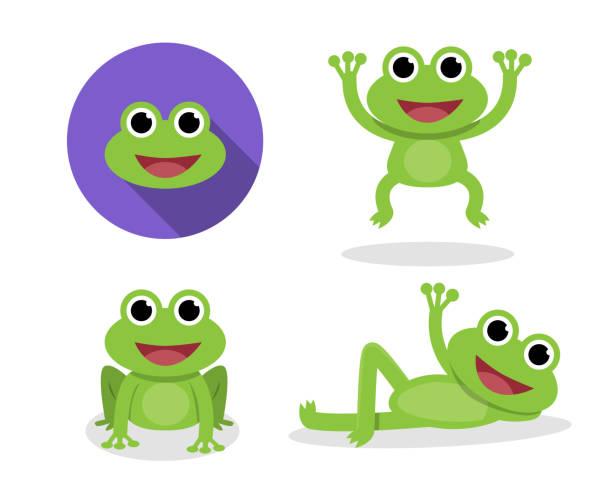 Set of green frog in cartoon style, vector Set of green frog in cartoon style, vector design frog stock illustrations