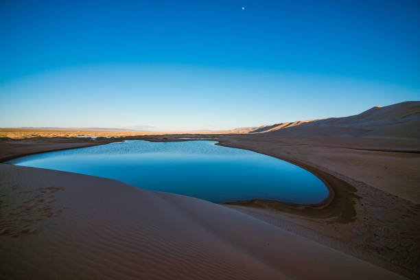 landscape of desert with little oasis