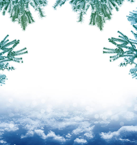 istock Christmas card with fir branches. 856240992
