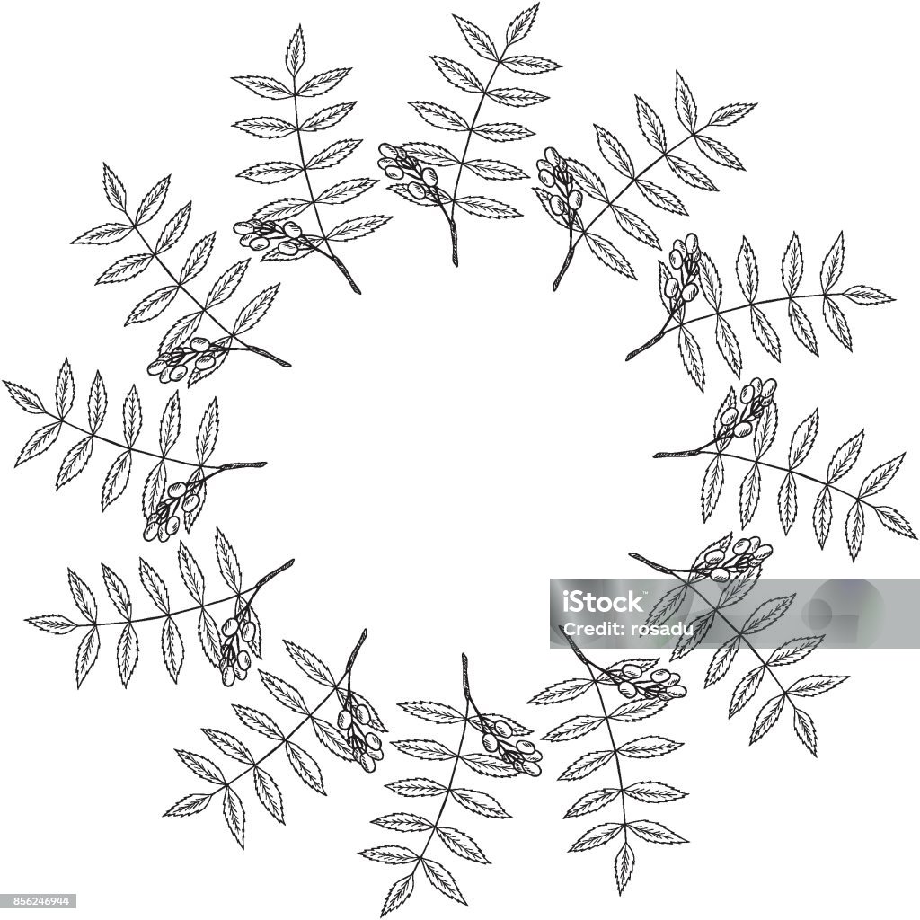 Neem Patterns Neem Round Frame 1 Stock Illustration - Download Image Now ...