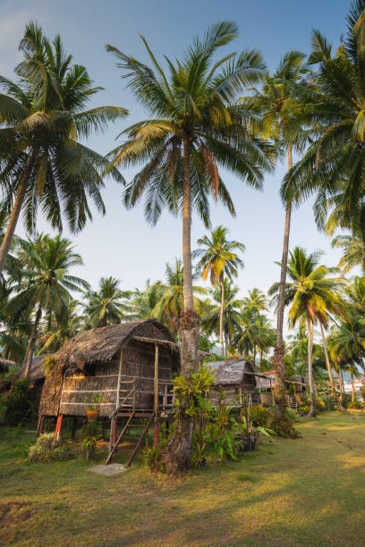 istock Beautiful tropical forest at island Koh Chang 856249416