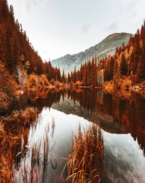 Lake in colorado state in autumn