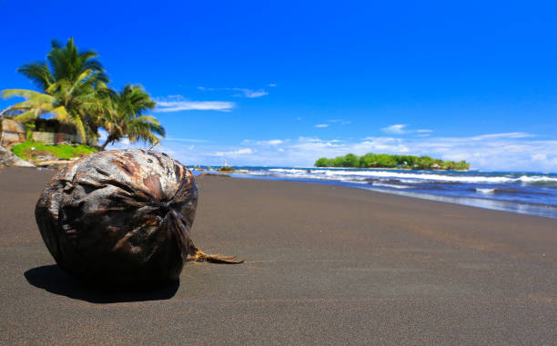 Mahina Tahiti black sand stock pictures, royalty-free photos & images