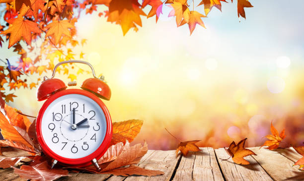 Daylight Savings Time Concept - Clock And Leaves In Fall Back Time Alarm And Foliage On Wooden Table dipping photos stock pictures, royalty-free photos & images