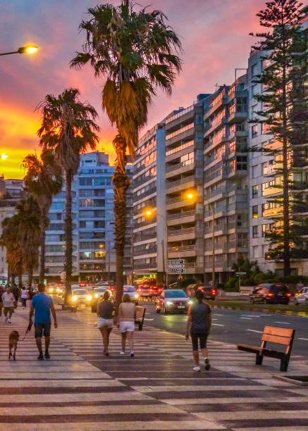 sunset urban scene at pocitos beach, montevideo, uruguay - montevidéu imagens e fotografias de stock