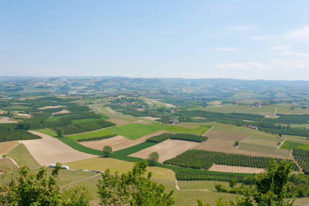 istock Landscape with vineyards from Langhe,Italian agriculture 856297722