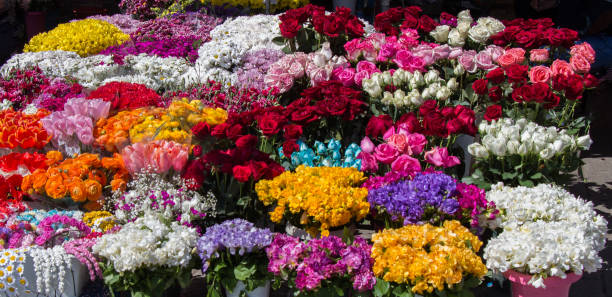 istock Fresh colorful Flowers put in vases 856304180