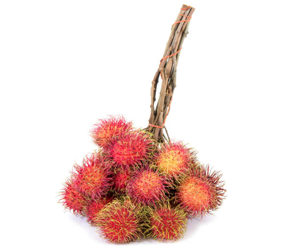 istock Pile of fresh rambutan fruit with branch isolated on white background 856312432