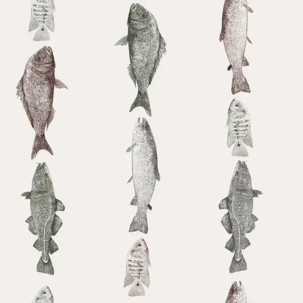 Vector illustration of Fish Stripe Repeat Pattern
