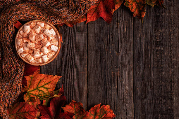istock Autumn background with hot chocolate, knitted scarf, multi-colored leaves. 856315246