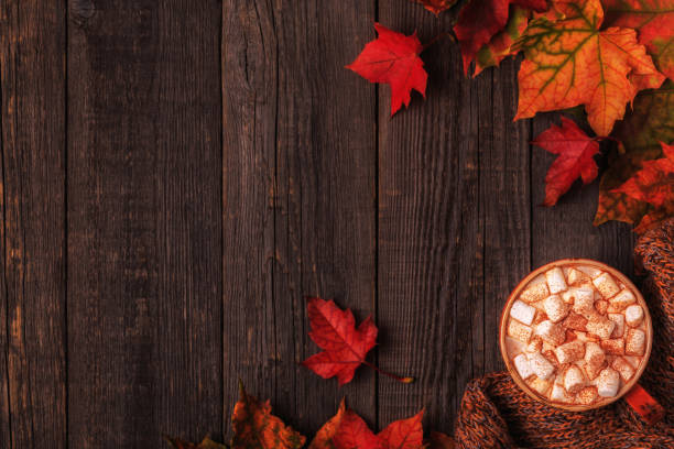 istock Autumn background with hot chocolate, knitted scarf, multi-colored leaves. 856315274
