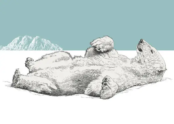 Vector illustration of Sleeping Polah Bear