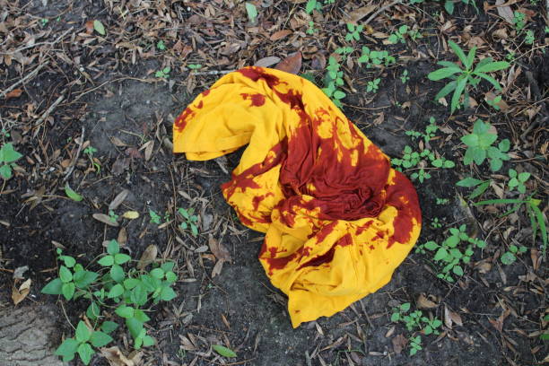 Bloody Shirt in Woods bloody yellow shirt in woods evidence photos stock pictures, royalty-free photos & images