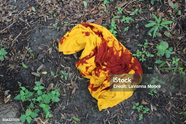 Bloody Shirt In Woods Stock Photo - Download Image Now - Crime Scene, Photography, Evidence