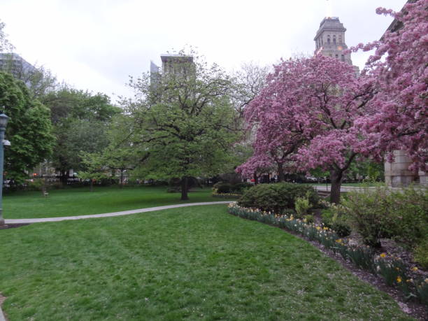 istock A garden with tree of Toronto 856332570