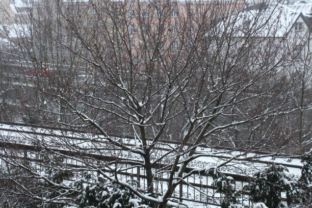 istock A train track in Prague on a snowy day 856338728