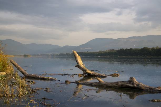 istock Wood on water reservoir on river during sunset. 856341330