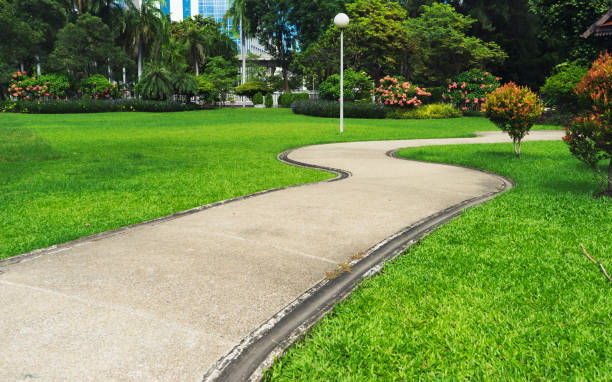 istock Space and concrete floor in public park 856341390