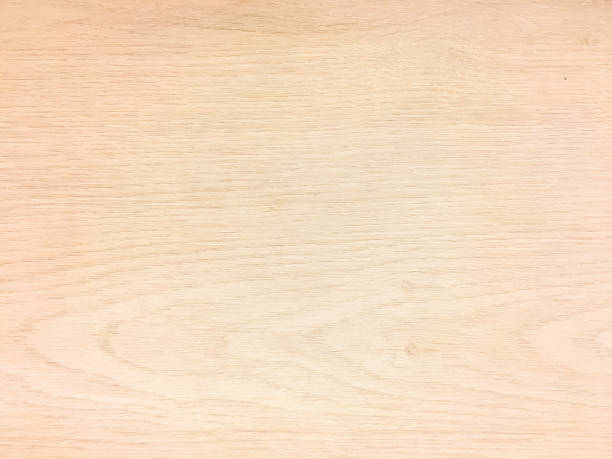 istock White Organic Wood Texture. Light Wooden Background. Old Washed Wood 856341848