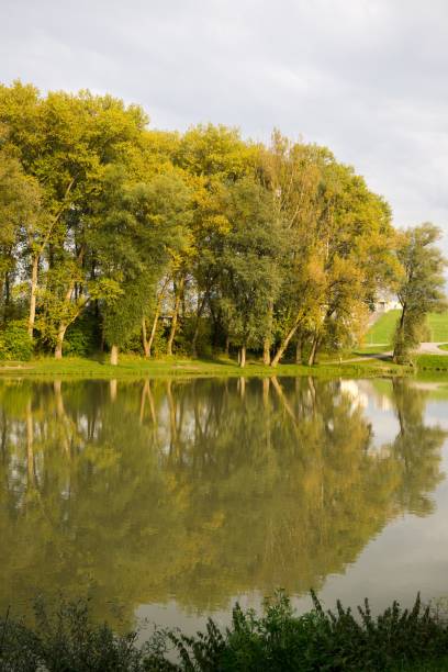istock Trees reflections in water of lake. 856341886