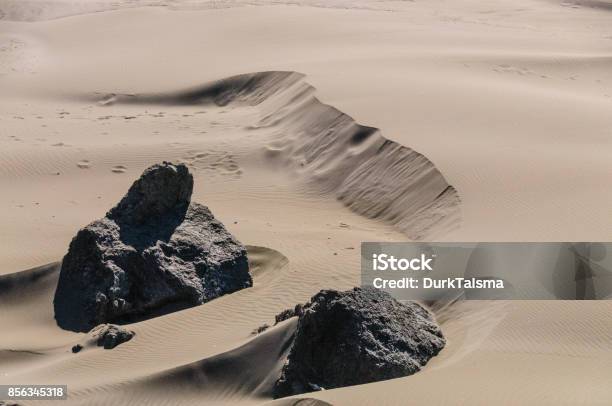 Sand Dunes Near The Oregon Coast Stock Photo - Download Image Now - Beach, Blue, Coastal Feature