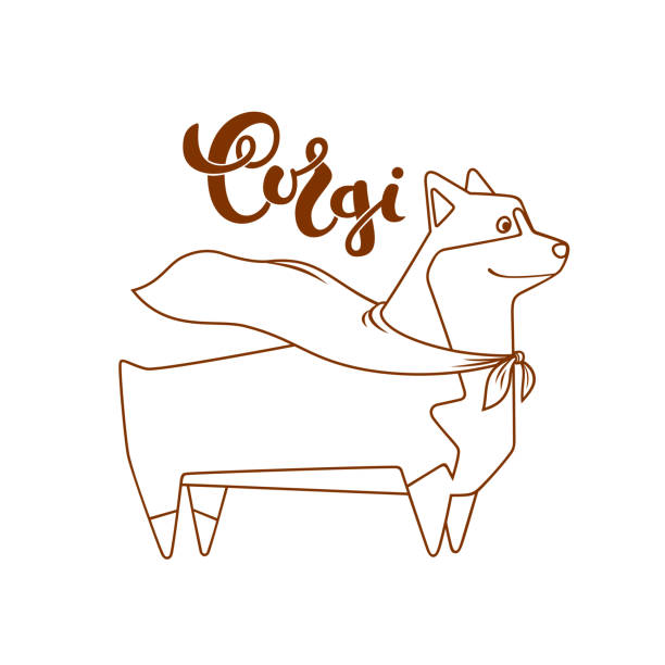 ilustrações de stock, clip art, desenhos animados e ícones de vector dog corgi in hero cape. breed inscription in calligraphy handmade design. - heroes dog pets animal