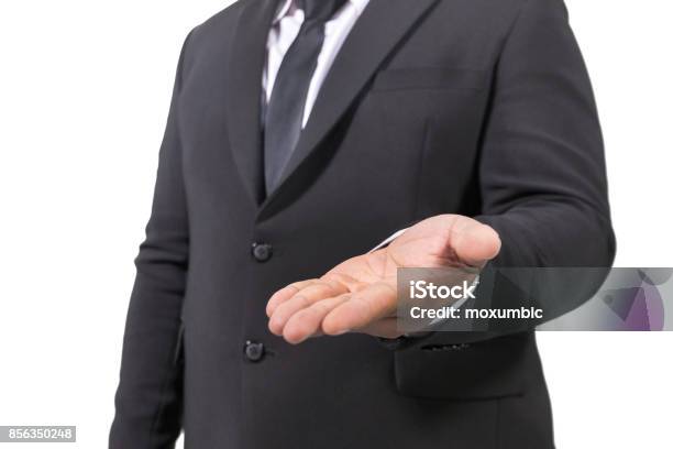 Fat Businessman In A Suit Stock Photo - Download Image Now - 30-39 Years, Adult, Adults Only