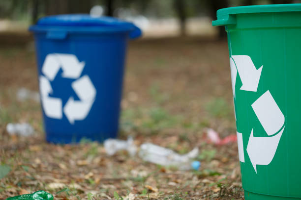 istock Two colorful recycling bins on a blurred natural background. Containers for garbage recycling. Ecology, recycling concept. 856359484