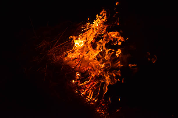 istock Burning of rice straw at night. Red fire on a black background. Combustion. 856362166
