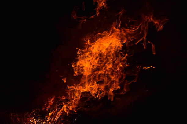istock Burning of rice straw at night. Red fire on a black background. Combustion. 856362180