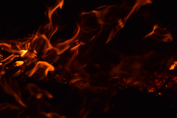 istock Burning of rice straw at night. Red fire on a black background. Combustion. 856362182